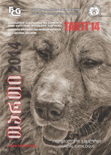 Tarti 2014
