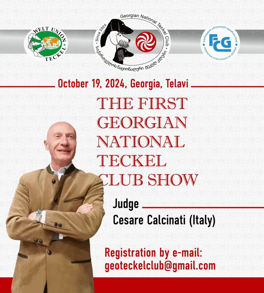 Georgian National Teckel Club Show 2024