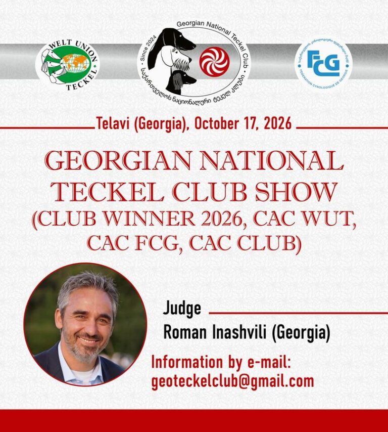Georgian National Teckel Club Show 2026